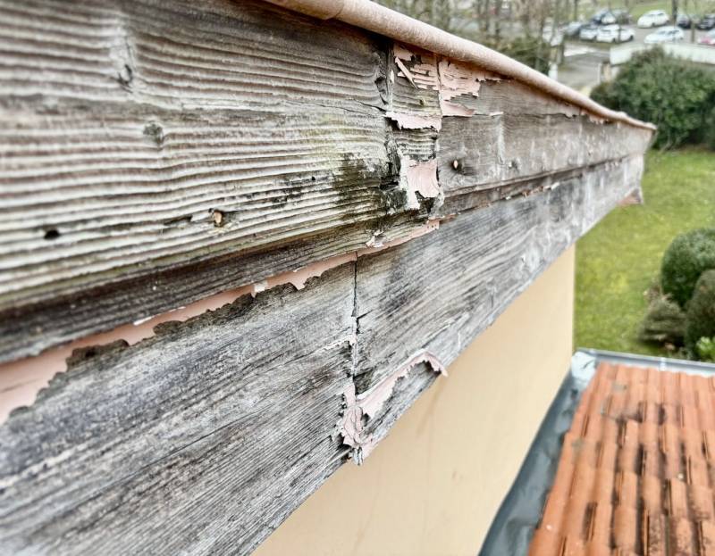 Travaux de zinguerie à Lentilly (Rhône) : protection optimale des rives avec un habillage en aluminium blanc.