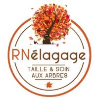 Experts passionnés pour l’entretien de vos arbres autour à 